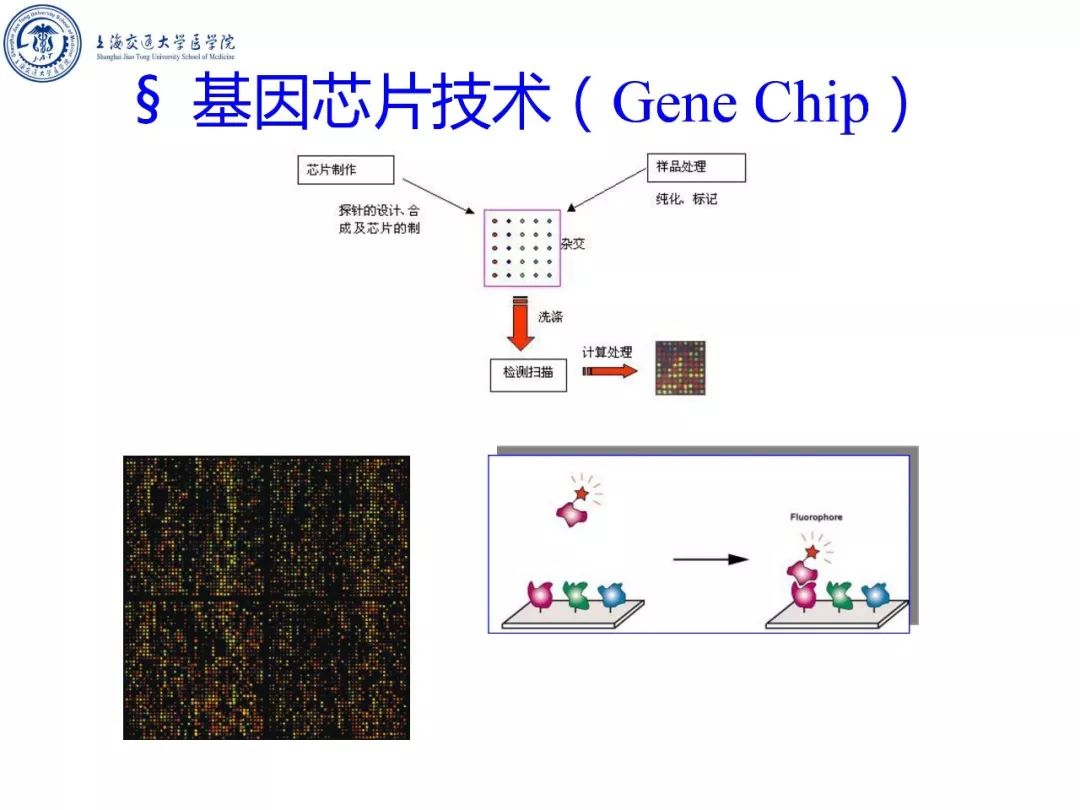 染料激光工作原理