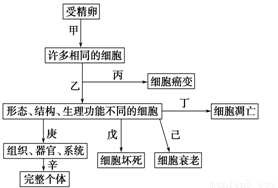 硫矿有什么作用