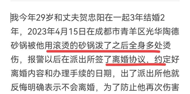 女子两年遭家暴十六次，数据导向下的执行策略与社会反思，诠释说明解析_版版67.79.88