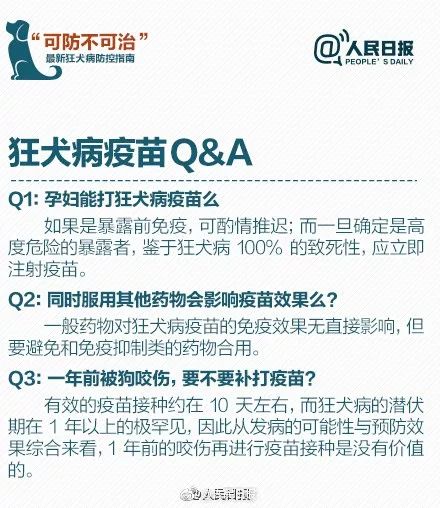 关于男子被狗咬伤后狂犬病发作死亡事件的深度解析与专家观点探讨，资源整合策略实施_SHD24.24.16