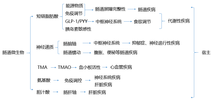 COSMO龚俊开年刊封面预告，精细化分析与说明，稳定性策略设计_pro44.93.14