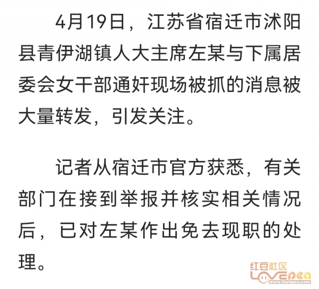 关于强占人妻、区长、人大代表资格终止现状的解读说明，专业评估解析_V96.66.31