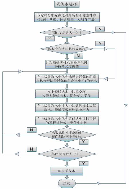 王一珩的决策瞬间，结构化计划评估与人生选择，实践方案设计_复古款57.21.90