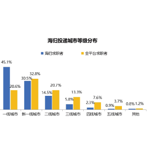 杭州多家小店巧妙运用造雪机吸引客流，创新与执行策略解析，数据支持执行方案_AR版81.12.32