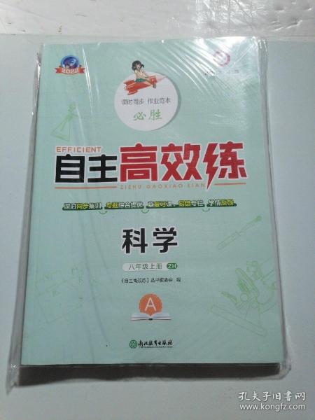 澳门2024正版王中王与高效解析方法——探索版齿细节的魅力，全局性策略实施协调_XT66.54.65