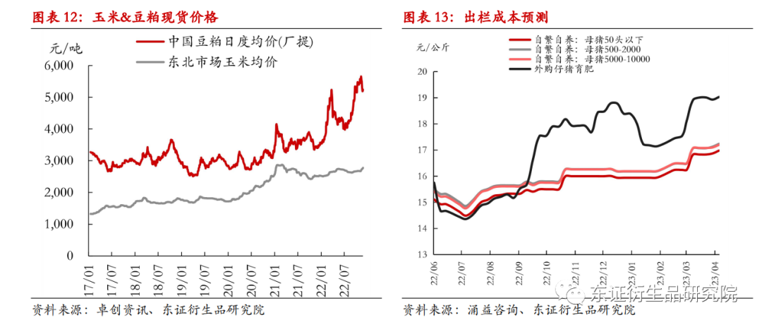 澳门2025今晚开奖结果是多少