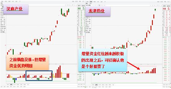 2025澳门最精准跑狗图