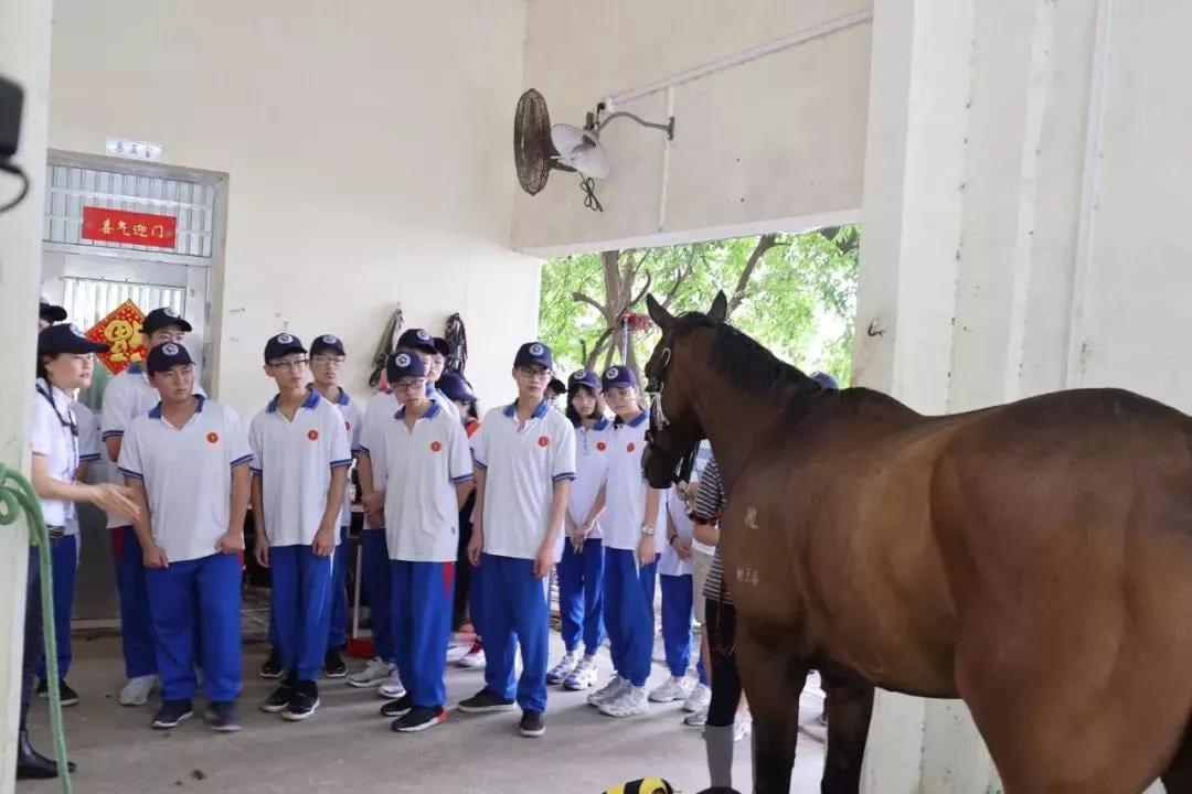 2024香港特马今