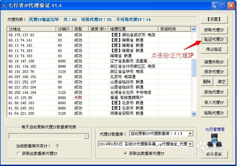 246期澳门开奖结果今天查询