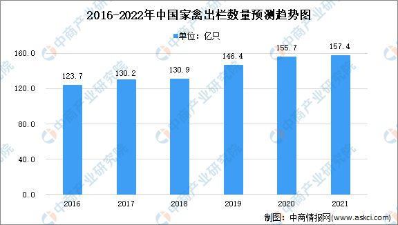 2025年今晚澳门特马12生